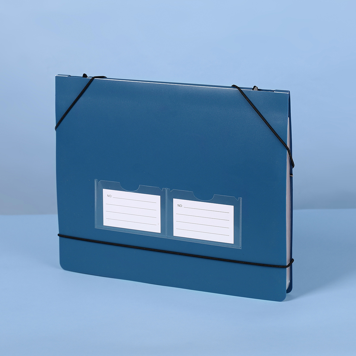 吊り下げ式アコーディオンファイルフォルダー 7/13/25ポ - Expandable Accordion File Folder 13 Pockets のレビューと価格